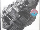 THE UNDERTONES - LP - Sire