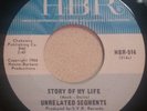 GARAGE ROCK 60s PUNK 45 by THE UNRELATED SEGMENTS HEAR CLIP