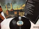 Pink Floyd 