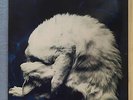 CHAPTERHOUSE Whirlpool 1991  UK  vinyl  LP EXCELLENT CONDITION