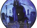 CHILDREN OF BODOM-FOLLOW THE REAPER (LTD) (PICT)  VINYL LP NEW