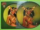 Cher - Take Me Home LP   Rare Picture Disc Casablanca Records USA 1979