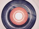 Ides of March Life Has Been So Good/Plaything 5x5 super rare Michigan garage