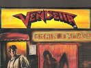 VENDETTA - brain damage LP