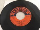 Rare Original Blues Rockers Calling All Cows Johnny Mae Excello 45