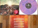 My Chemical Romance - Danger Days Vinyl LP Pink/Purple Sealed