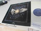 FLOCK INSIDE OUT 1975 PROG UK LP 1ST PRESS MINT  MERCURY