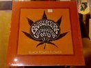 Brant Bjork and the Low Desert Punk Band Black Power Flower LP sealed vinyl