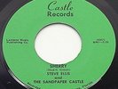 STEVE ELLIS & SANDPAPER CASTLE Sherry CASTLE private  Florida garage 45