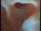 SHVL795 Pink Floyd 