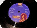 T REX 