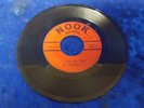 Chevrons V - I Lost You Today / Niat Pac Lavram ? NOOK 45 MICHIGAN FENTON GARAGE