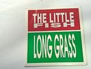 THE LITTLE FISH - Long Grass - IRISH INDIE 7