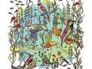 The Dreamers - The Gentle Side - ZORN JOHN [LP]