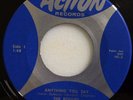 NM- OMAHA NEBRASKA GARAGE ROCK 45 / THE ROGUES / ANYTHING YOU SAY / ACTION 100