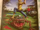 IRON MAIDEN - THE EVIL IN FLORIDA - PICTURE DISC
