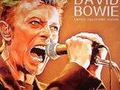 BOWIE, David - In Memory Of David Bowie (Collectors Edition) - Vinyl (LP)