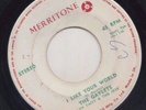 '68 MERRITONE ROCKSTEADY 45 THE GAYLETS I LIKE YOUR WORLD/THAT LONELY FEELING ?