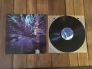 HUM Downward is Heavenward Original Pressing Black Vinyl LP Martians Go Home