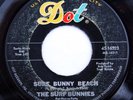 HEAR Surf Bunnies 45 Our Surfer Boys/Bunny Beach DOT 16523 teen rocker hot rod