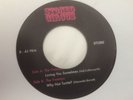 THE OUTCASTS Loving You Sometimes '7 VERY RARE RE '68 PSYCH SOUL BEAT ROCK FUZZ