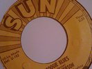 RARE ROCK COWBOY SUN RECORDS 197 EARL PETERSON IN THE DARK PUNCH HOLE