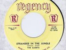 Cadets 45 Stranded In The Jungle 1956 R&B NM Billboard # 15 Canada Regency 512X