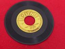Elvis Presley Sun 45 record 223 Mystery Train- I Forgot to Remember to Forget