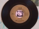 Larry & The Headliners 45 Plastic Saddle / Lot-A-Lovin - Minnesota Rockabilly M-