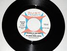 United Travel Service *1967 Pacific NW Garage Psych * Wind and Stone * Promo 45