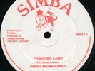 Dennis Brown & Aswad - Promised Land UK Simba 12