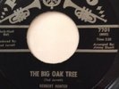 Herbert Hunter - The big oak tree