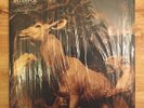INTERPOL Our Love to Admire 2 LP SET Gatefold Capitol Vinyl Heinrich RARE