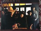 THE JOHNNYS-GROWN UP ALL WRONG-LP-BEASTS OF BOURBON-COW PUNK