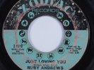 Northern Soul 45 RUBY ANDREWS Just Loving You ZODIAC HEAR