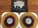 Fall Out Boy From Under Cork Tree 2 LP Gold With Maroon Vinyl Limited Emo Punk