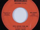 Funk/Deep Soul 45 SANDY GAYE He's Good For Me MOONSHOT HEAR