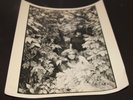THE SLITS CUT SESSION ALBUM  10X8 UNSEEN 1978 PUNK PHOTO NUMBER 2 SEX PISTOLS