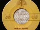 45 rpm doowop  Nobody Knows by The Kansas City Tomcats NM
