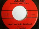 RARE ( ROCKABILLY 45 )  JAY FANNING - WON'T YOU BE MY SWEETHEART / IT'S LOVE VG+