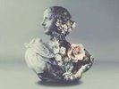 Alina / Galimatias Baraz - Urban Flora [Vinyl New]