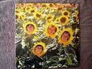SUNNYBOYS-INDIVIDUALS 