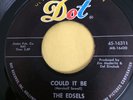 The Edsels 