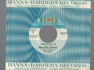 KILLER MICHIGAN GARAGE-HBR RECORDS 514-UNRELATED SEGMENTS-STORY OF MY LIFE-45
