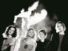 HOLE Celebrity Skin 180gm Vinyl LP 2014 (12 Tracks) NEW & SEALED Music On Vinyl