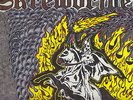 SKR**DRIVER WHITE RIDER Nmint LP Oï Skinhead punk ROCK O RAMA 66 19