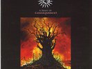 FISH  (MARILLION): A FEATS OF CONSEQUENCES  - 2013  ( PROG ROCK )