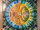 Sunshine Daydream Vinyl Rare Record