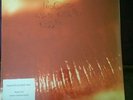 THE CURE   KISS ME, KISS ME, KISS ME (2016)   2 x 180g VINYL LP   D'LOAD   *NEW*
