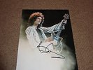 BRIAN MAY   -   QUEEN -  GUITAR POSE SIGNED  10X8 COL  PHOTO - UACC  COA